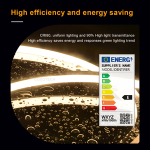Bande lumineuse LED néon <span class=keywords><strong>1010</strong></span> 24V IP68 IP66 étanche en silicone pur haute densité sans points, flexible pour l'aménagement extérieur - Product Image 6