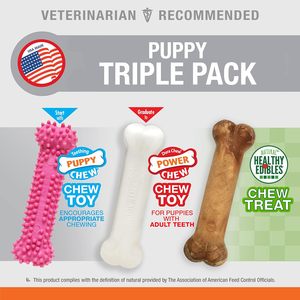 Nylabone Triple Pack Puppy Chew Toys Golosinas naturales en sabores de tocino de pollo rosa para perros pequeños de hasta 25 libras Hecho de nylon - Product Image 4