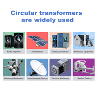 Transformateur toroïdal monophasé d'alimentation basse fréquence personnalisé 220V 110V 36V 18V 120V 6V 65V