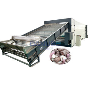 Séchoir à champignons économe en énergie, neuf, déshydrateur continu - Product Image 1