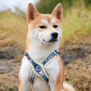 Venta al por mayor de lujo ajustable reflectante de seguridad transpirable <span class=keywords><strong>Sexy</strong></span> diseñador paso en mascota chaleco perro arnés y correa conjunto - Product Image 1