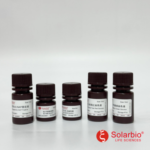 Solarbio neutrophil <span class=keywords><strong>Alkaline</strong></span> <span class=keywords><strong>phosphatase</strong></span> vết <span class=keywords><strong>Kit</strong></span> cho nghiên cứu khoa học - Product Image 3