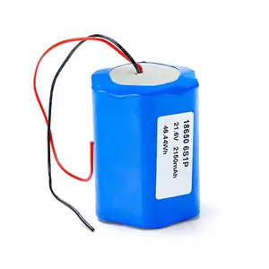 Batterie lithium-ion rechargeable 21.6V 2150mAh 18650 6S1P pour une large application