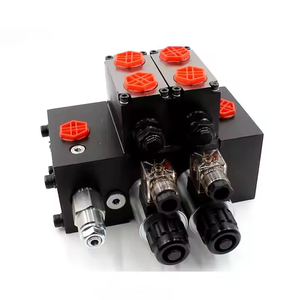 กำลังมองหาพันธมิตรระดับโลก |   วาล์วไฮดรอลิก DCV58F รองรับการปรับแต่งแบบ OEM และ ODM - Product Image 1