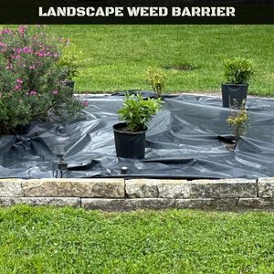 Roly Poly Plastic Sheeting 4 Mil Black 10 Ft X 100 Ft Roll For <b>Tarp</b> Garden Painters Drop Cloth Mulch Weed Barrier Underlayment - Product Image 3