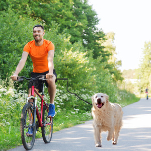 Bicycle Dog Walker Bike Leash Elastic Nylon Black Solid Traction Belt For Pet Walking - Product Image 1
