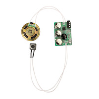 Modules de son de carte de vœux personnalisés en usine OEM Téléchargement MP3 Enregistreur vocal Puce sonore pour boîte-cadeau