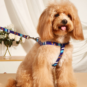 Conjunto de Arnés para Perro Acolchado de Neopreno Cómodo - Correa Ajustable Ecológica con Estampado de Sublimación en Bloques de Color - Product Image 5