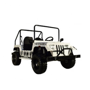 Venta caliente 1500W Motor sin escobillas <span class=keywords><strong>Mini</strong></span> para <span class=keywords><strong>Jeep</strong></span> New Energy 4 ruedas UTV Buggy para Golf <span class=keywords><strong>Mini</strong></span> coche de turismo 48V para Puntos escénicos - Product Image 1