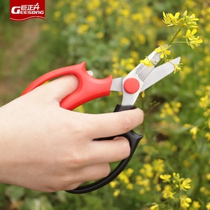 Ciseaux de jardin de qualité industrielle tête large grande lame courte nouveau <span class=keywords><strong>sécateur</strong></span> ciseaux à roses manche épaissi ciseaux à fleurs domestiques - Product Image 4
