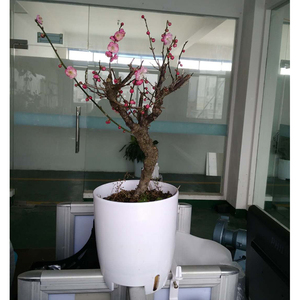 Moderno Gran venta al por mayor flor olla <span class=keywords><strong>barato</strong></span> - Product Image 5
