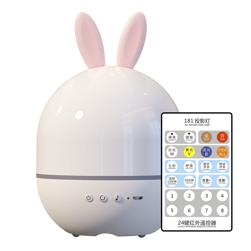 Rabbit Remote Control Model