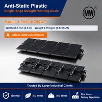 OEM LF820-K250AS Antistatische POM Acetal Kunststof Transportketting Tafelketting voor Melkafvullijn en Krattentransportlijn