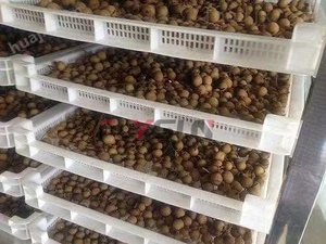 Máquina Secadora de Bomba de Calor para Batatas Moradas en Oferta, Equipo de Deshidratación de Vegetales y Procesamiento de Alimentos de Acero Inoxidable 304 - Product Image 4