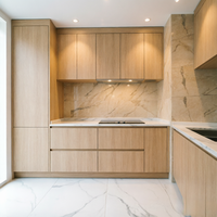 Lemari Dapur Modern BALOM dengan Desain Pintu Panel Datar Motif Kayu untuk Apartemen Hunian, Unit Penyimpanan Modular