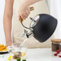 Bouilloire pour cuisinière à gaz, bouilloire à eau en acier inoxydable, bouilloire à café, théière, bouilloire à eau chaude pour cuisinière, sifflet