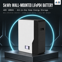 Baterai LiFePO4 Terpasang di Dinding 48V 100Ah 200Ah 5kWh 10kWh, 6000 Siklus Deep Cycle, Sistem Penyimpanan Energi Surya Rumah, Produsen