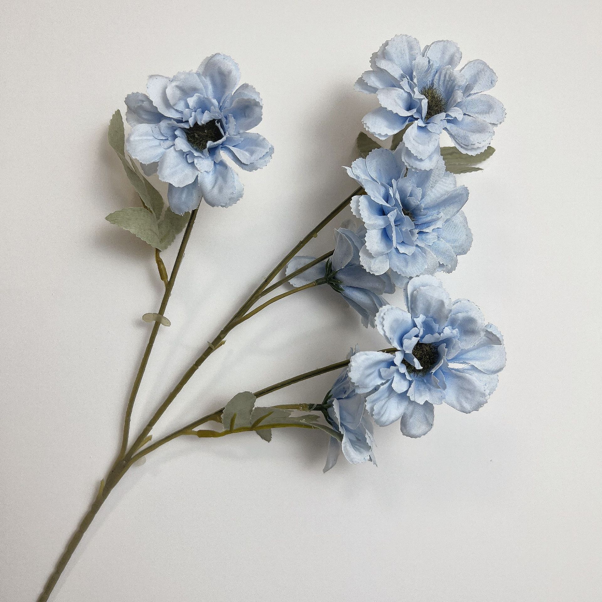 #10 Azalea