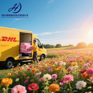 Giá rẻ chuyên nghiệp vận chuyển hàng hóa giao nhận cửa đến cửa DHL UPS fedex không khí + Express DDP Trung Quốc để UK USA UAE Úc Canada Đức - Product Image 2