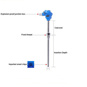 Sonde de résistance thermique à haute température Pt100, capteur Pt1000 intégré 4-20 mA - Product Image 3