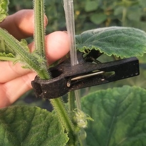 Pinces de fixation pour plantes suspendues de jardin (concombres et tomates), pinces de maintien pour vignes, clips de fixation en plastique pour légumes de serre - Vente en gros - Product Image 3