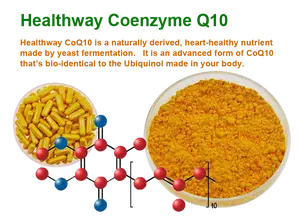 Coenzyme Q10 Chất Lượng Cao 10% Coenzyme Hòa Tan Trong Nước Q10 Nguyên Liệu Thô Coenzyme Q10