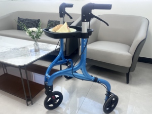 Déambulateur pliant à 3 roues en aluminium de luxe, portable, facile à plier et à ranger, pour personnes âgées TRB01 - Product Image 6