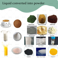 Séchoir à pulvérisation en acier inoxydable avec filtre en poudre détergent séchoir à pulvérisation pour lait et café