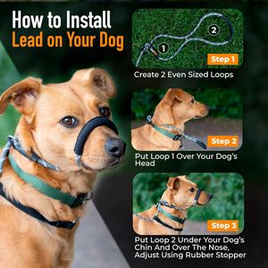 Laisse réglable en forme <span class=keywords><strong>de</strong></span> 8 pour chien, anti-traction, avec poignée rembourrée et support nasal pour chiens <span class=keywords><strong>de</strong></span> grande et moyenne taille - Product Image 2