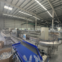 Equipo de Línea de Producción para Plantas de Bebidas con Certificación CE Sunswell