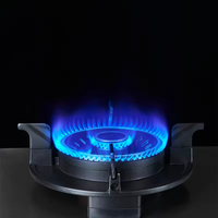 Appareil de cuisine Cuisinière à gaz en acier inoxydable 2 brûleurs Plaque de cuisson à gaz double brûleur Intégré Cuisinière à gaz intelligente