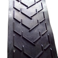 Madencilik kalıplama işleme hizmeti ocağı için kaya çakıl için özel 10M-500M uzunluk v-tipi kauçuk Chevron konveyör bant - Product Image 5