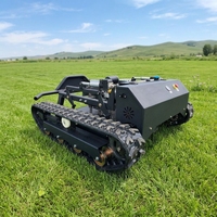 Promotion CE EPA Robot Tondeuse à chenilles télécommandé sans fil à essence pour jardin et agriculture tout-terrain