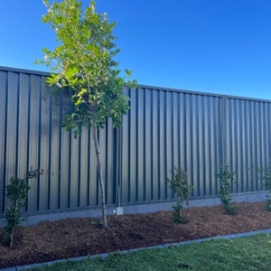 Paneles de Cerca de Acero de Color Personalizables, Cercas de Privacidad, Estándar Australiano, Alta Resistencia, Resistentes al Óxido - Product Image 4