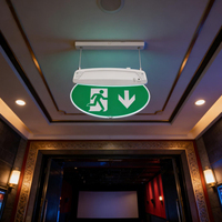 En gros, Panneau de signalisation d'urgence LED rechargeable en plastique, indice IP20, autonomie d'urgence de 3 heures, visibilité supérieure à 24 m, Li-FePO4