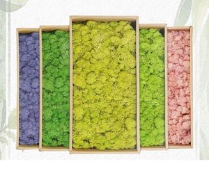 W-3078 गर्म बिक्री थोक विभिन्न रंग संरक्षित नीले मटर के पैनल - Product Image 2