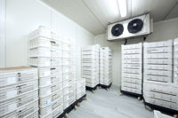 Emth Aangepaste Temperatuur 20ft Walk In Vriezer Koude Opslag Paneelruimte Voor Fruit En Groente