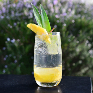Vente en gros, verres à cocktail de forme ovale, <span class=keywords><strong>sans</strong></span> <span class=keywords><strong>pied</strong></span>, verres à champagne, <span class=keywords><strong>verre</strong></span> à vin martini - Product Image 5