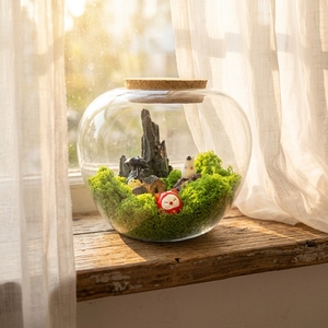 Vaso da Tavolo Moderno di Alta Qualità in Vetro Borosilicato a Forma di Mela con Coperchio in Sughero per Decorazioni Casa e Matrimonio - Product Image 6