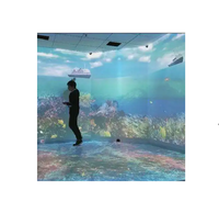 Jeux interactifs de projection au sol et sur les murs pour enfants, 60 ips, avec commandes tactiles, sur le thème des animaux et des dinosaures