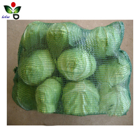 Sac tubulaire en filet de plastique PP de 10 kg pour pommes de terre, plusieurs couleurs - Taille personnalisable et usage agricole