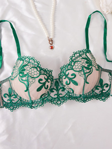 Conjunto de Lencería Íntima Transparente en Negro y Rojo, Conjunto de 2 Piezas, Lencería Sexy de Encaje con Bordado de Malla - Product Image 5