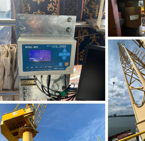 مؤشر محدد عزم الحمل LMI لقطع الرافعات البرجية - Product Image 6