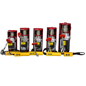100kg כדי 1000kg מנוע הרמת כננת מיצרן סיני - Product Image 4