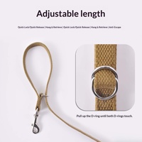 Ensemble laisse et collier en toile de coton pur, écologique, ODM OEM, pour promener les chiens, réglable, fonctionnel, durable, résistant
