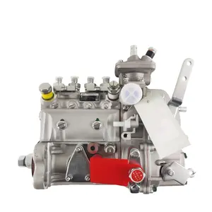 Yeni 4BT 4B3.9-G2 dizel motor yüksek basınç yakıt enjeksiyon pompası 3973846