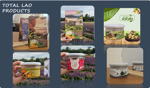 Shampooing Gel Herbal au Bambou Qualité Export Origine LA Certifié MSDS COA GMP Halal et Sans Cruauté Animale Conforme aux Normes Internationales Prêt à l'emploi - Product Image 3