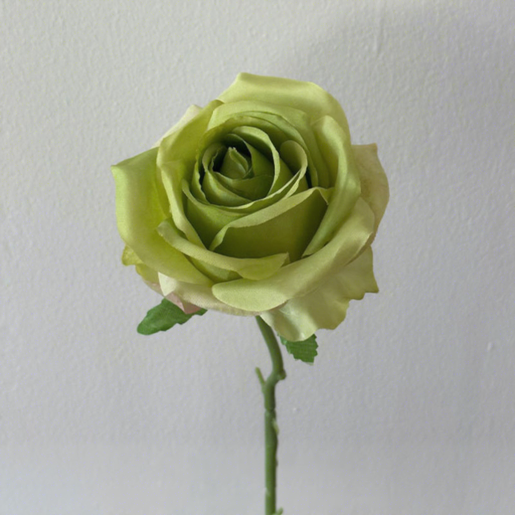 [8]Rose anji vert herbe