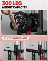 Sistema de Poleas para Ejercicios de Dorsal y Crossover, Montaje en Pared, Acero Aleado, 16 Posiciones Ajustables, Alto/Bajo, Gimnasio en Casa, Parte Superior del Cuerpo