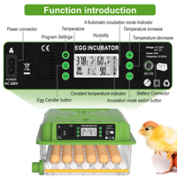 Incubateur d'œufs intelligent entièrement automatique avec un taux d'éclosion élevé pour usage agricole 220V